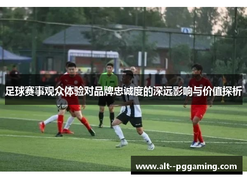 足球赛事观众体验对品牌忠诚度的深远影响与价值探析